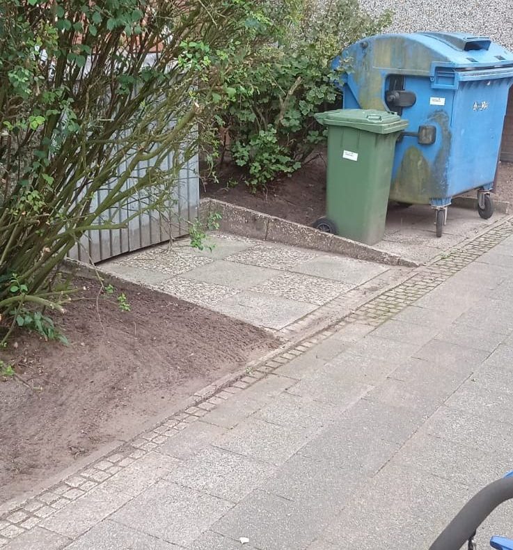 Pflege einer Außenanlage durch Maaß Gebäudedienste