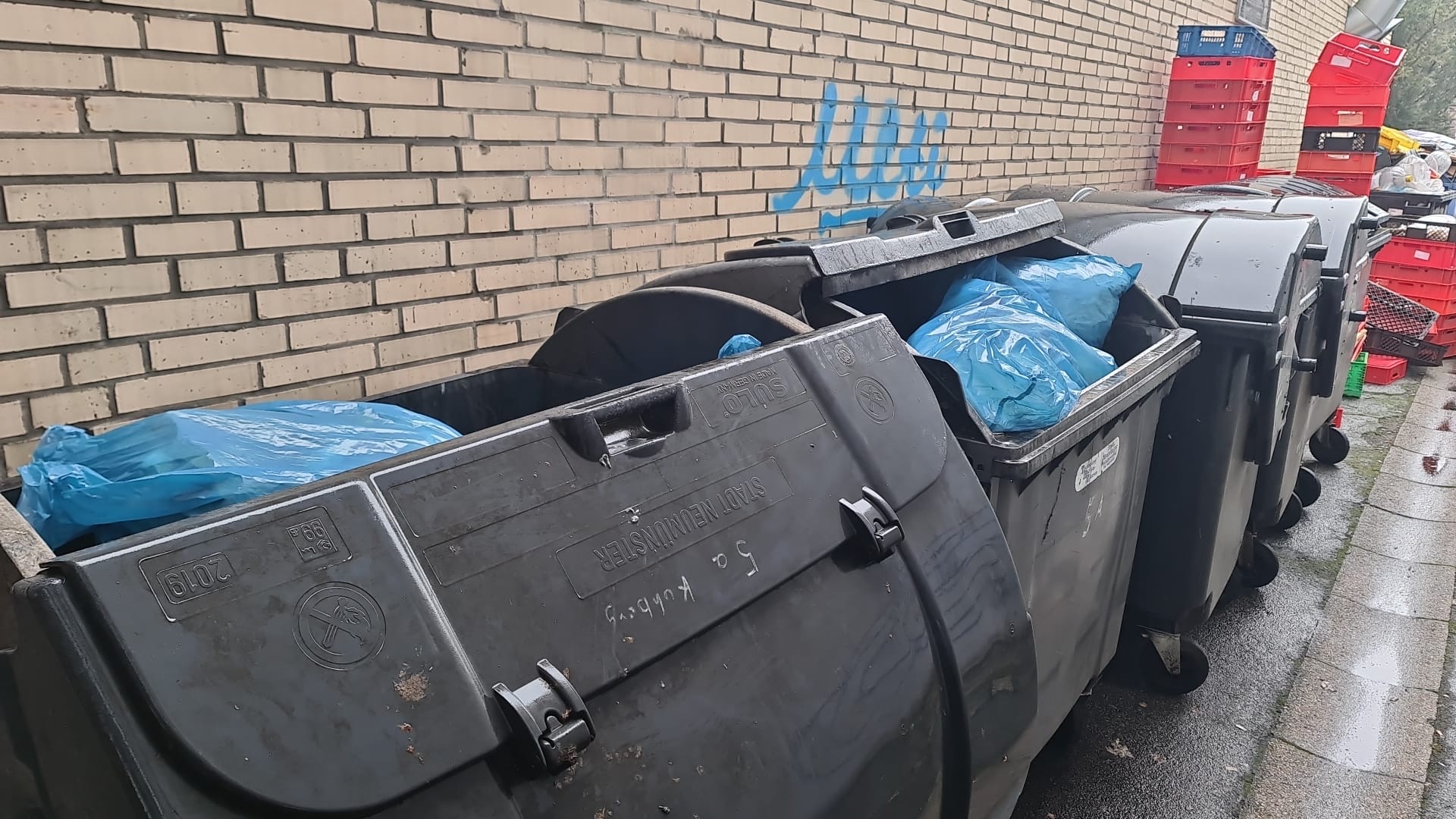 Mülltonnen werden für die Leerung bereitgestellt