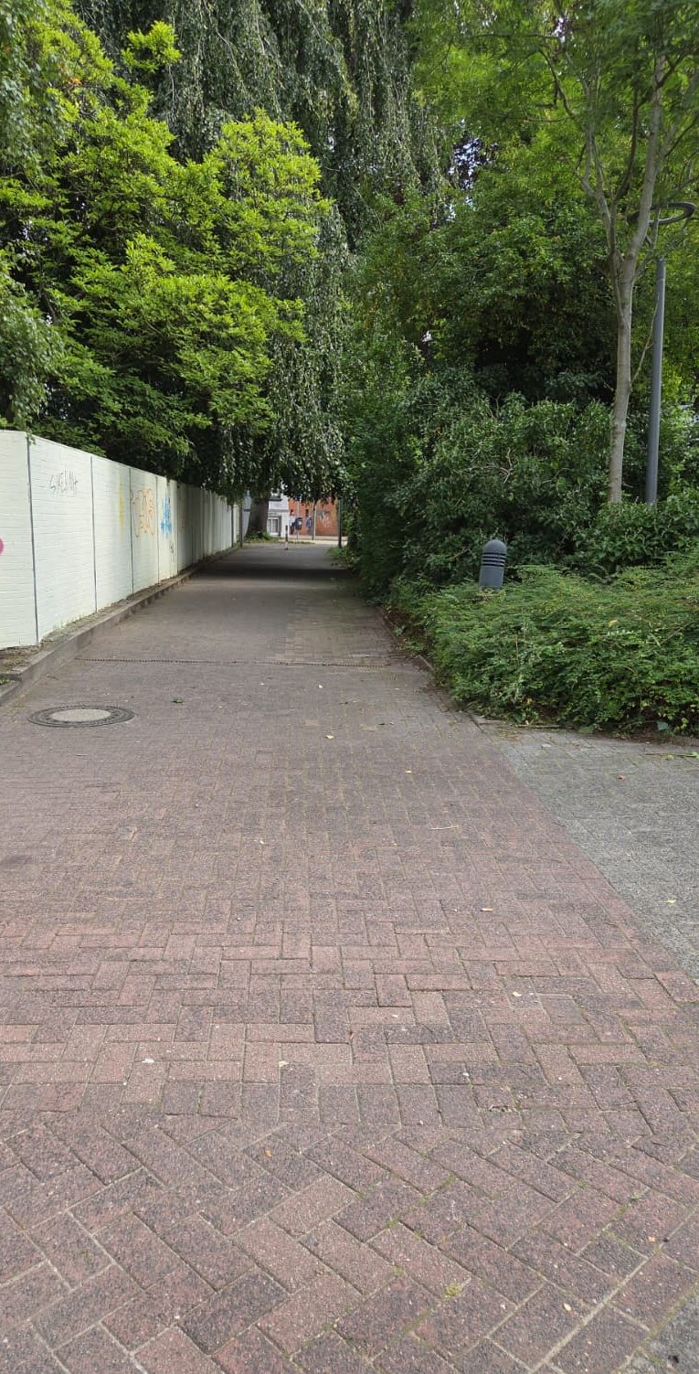 Reinigung einer befestigten Außenfläche